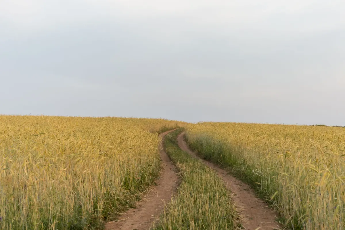 A Beginner's Guide to Kent's Countryside Walks: Safety, Gear and Routes