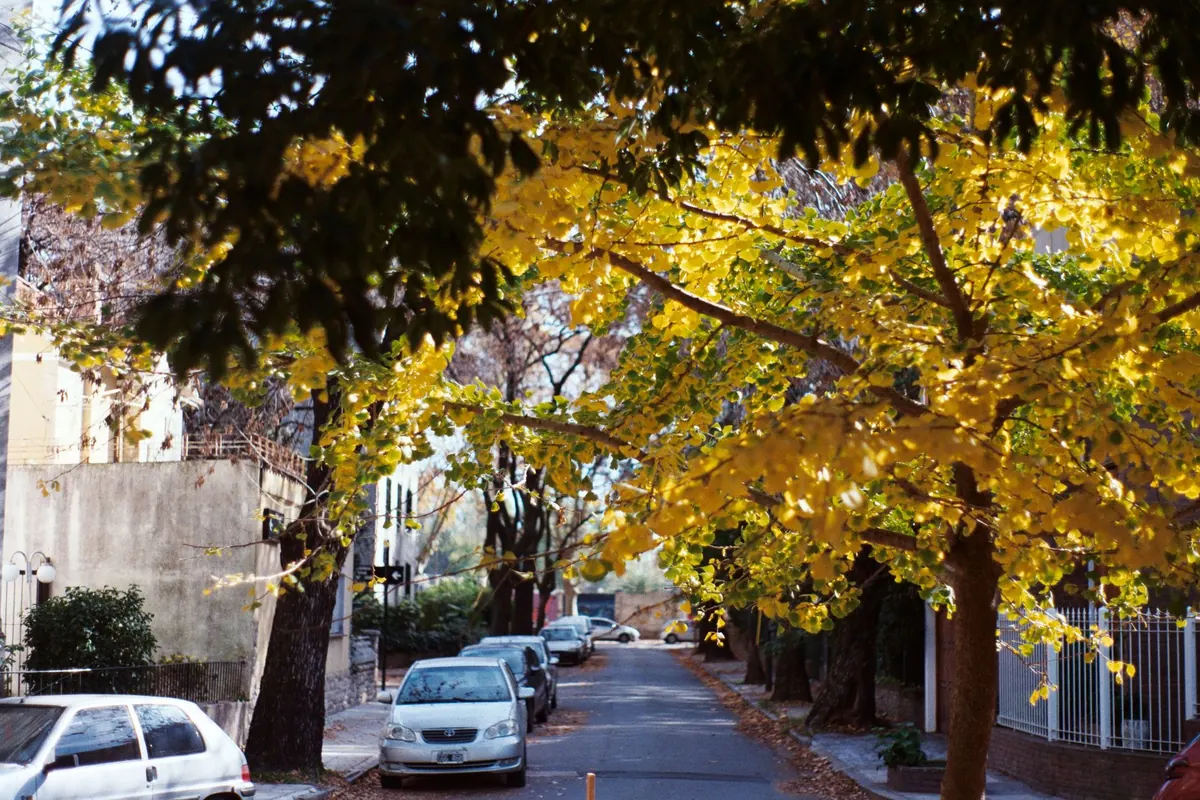 How to Set Up a Neighbourhood Watch in Your Kent Village